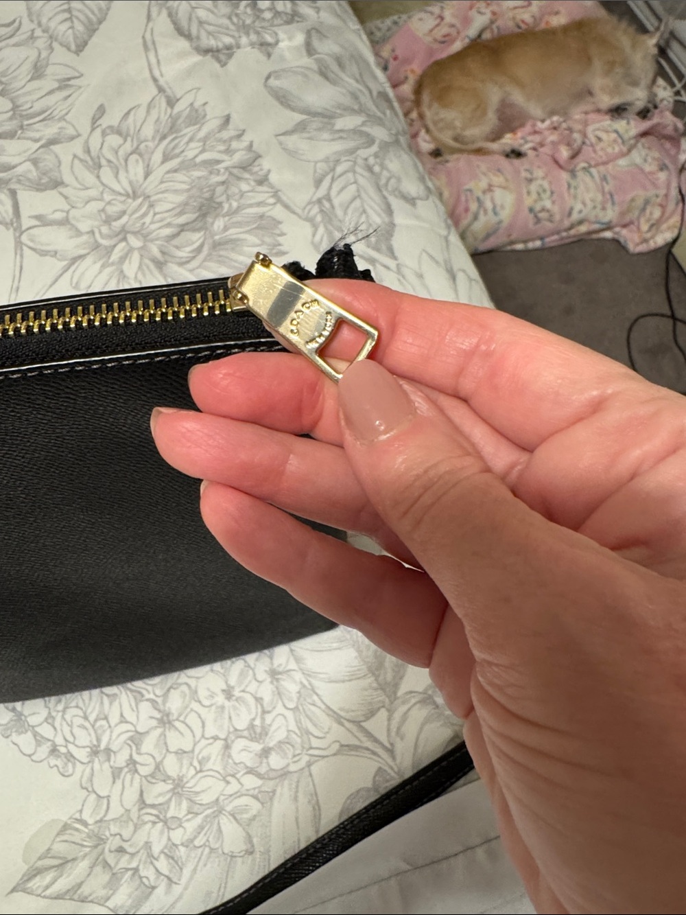 COACH Black Saffiano Leather Crossbody with Gold Hardware - Picture 6 of 7